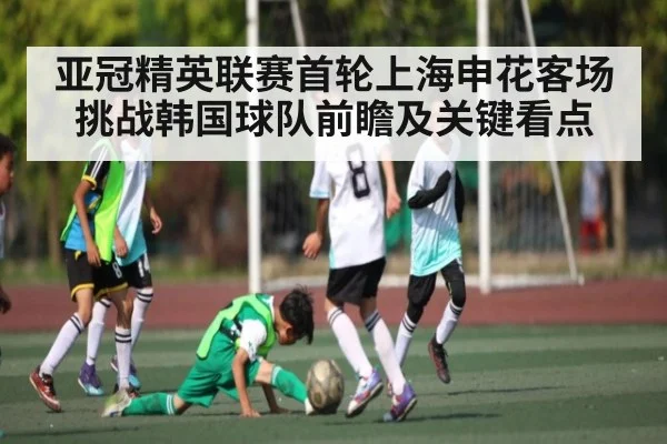 亚冠精英联赛首轮上海申花客场挑战韩国球队前瞻及关键看点(bob)